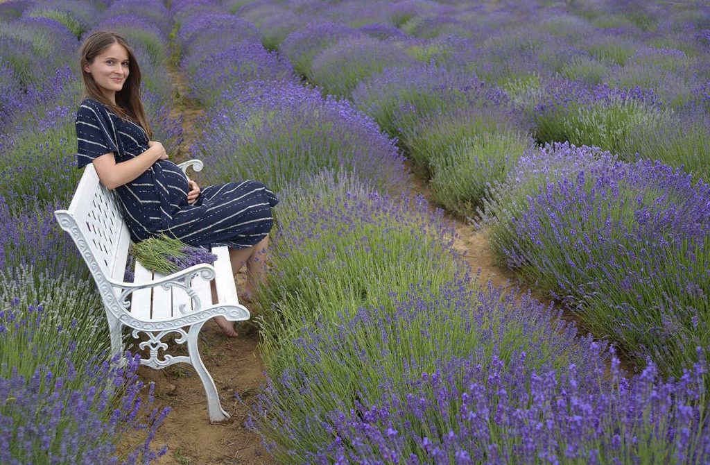 Cánh đồng hoa lavender ở Hungary